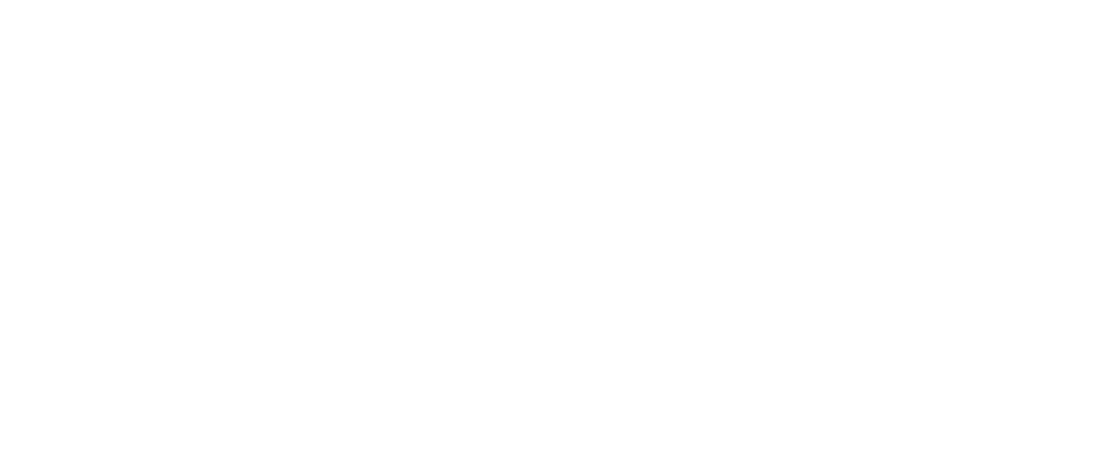 TIU Florida Logo